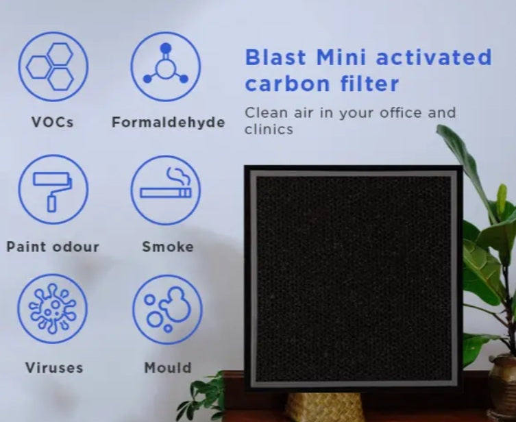 The Blast Mini VOC Filter